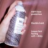 Chainmail Thermal Protection Spray - Image 2