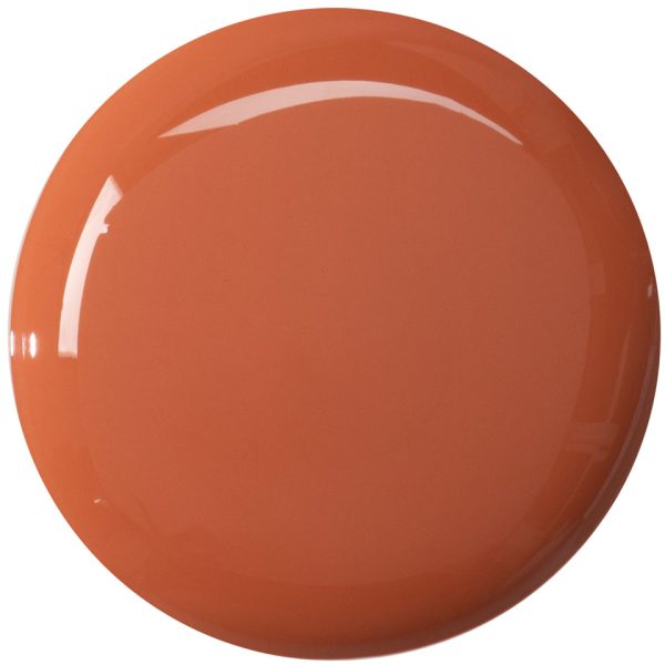 Digital Complexion Neutralizer - Image 5