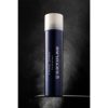 Fixing Spray Jumbo - Image 4