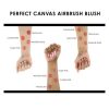 Perfect Canvas Blush & Highlighter Starter Set - Image 2