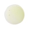 Shampoo with Citrus Pulp - Image 2