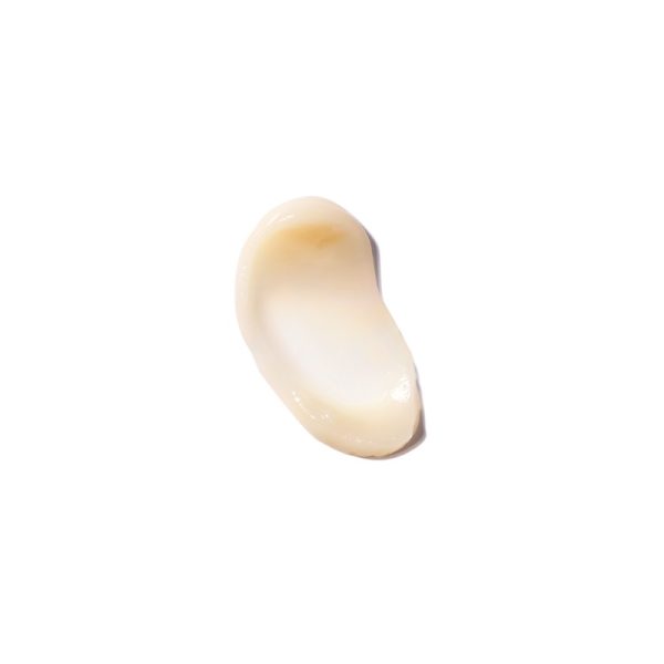 Step 1 Primer Shine Control - Image 2